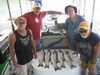 (07/18/2016) - Nice Striped Bass